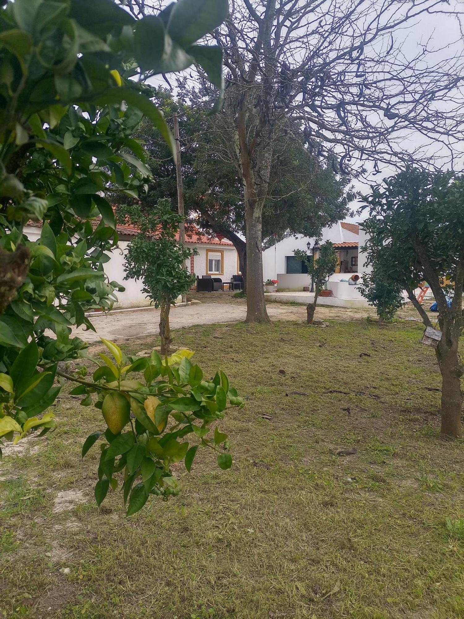 O Mundo Da Lua Villa Azeitao Exteriör bild