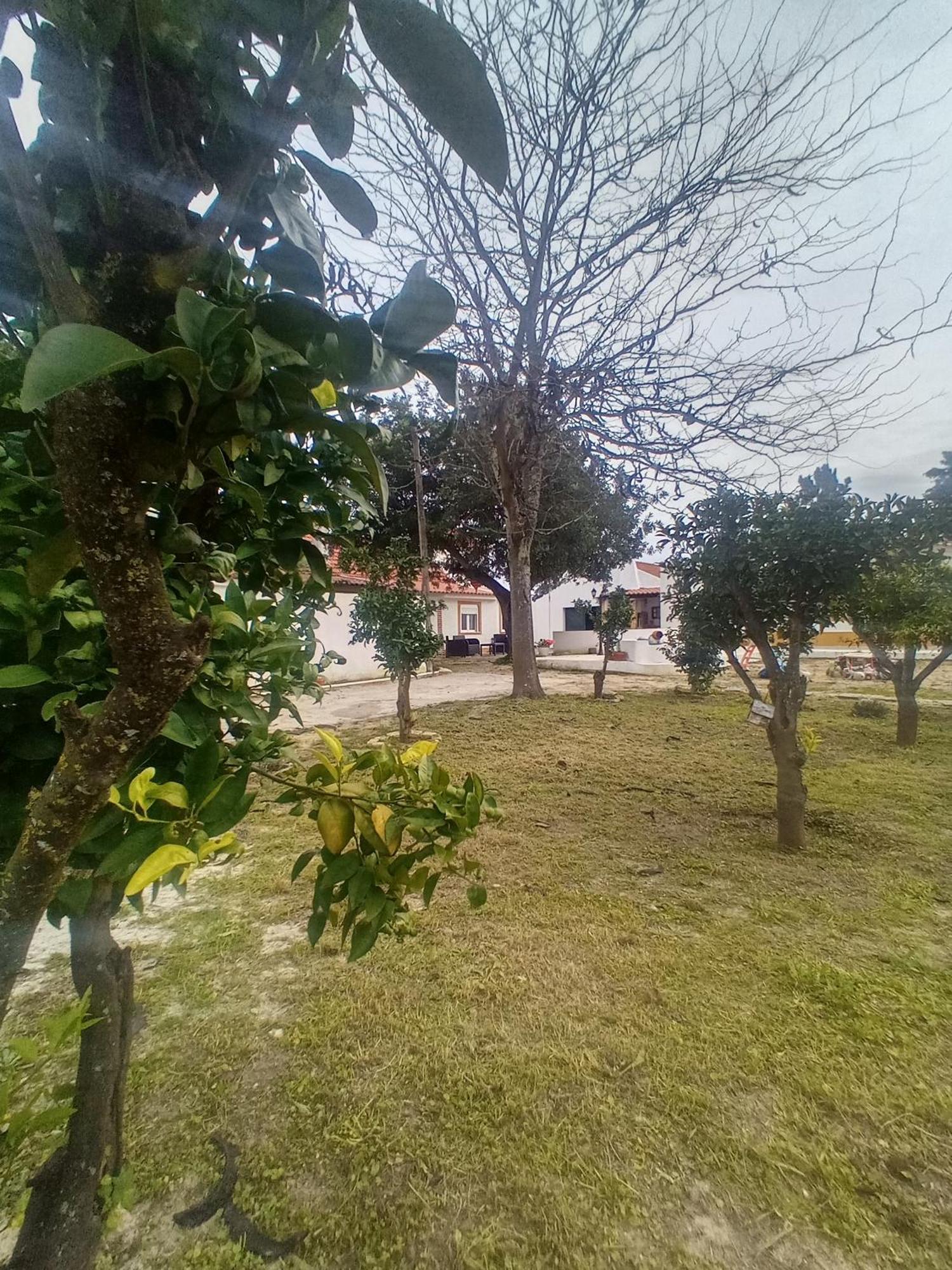 O Mundo Da Lua Villa Azeitao Exteriör bild